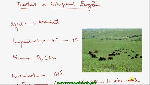 FSc Biology Book2, CH 26, LEC 3; Terrestrial Ecosystem, Adaptation and Divisions of Terrestrial Ecosystem