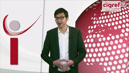 Cigref TV, Xerfi Canal Six contrasting scenarios for the design of the 2020 enterprise