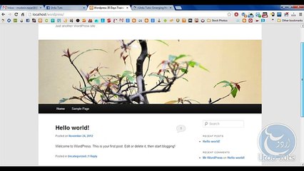 Wordpress in Urdu Chapter Two from Urdututs on Vimeo