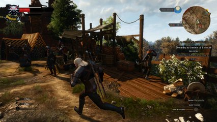Bug sur the witcher 3!