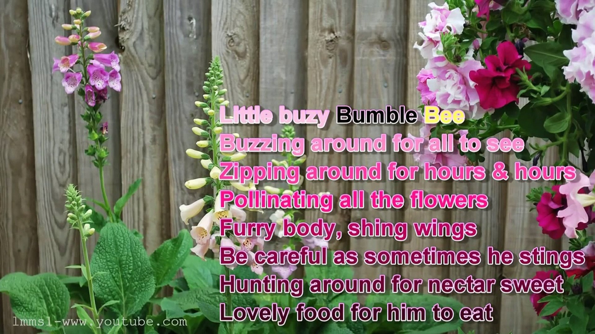 The Busy Little Bumble Bee - ** At My Summer Garden **