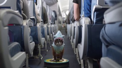 Wieden + Kennedy New York pour Delta Air Lines - «The internetest safety video» - mai 2015