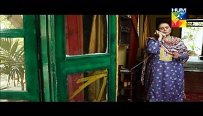 Aye Zindagi - Episode 11 - Part 2 - HUM TV - 21 May 2015