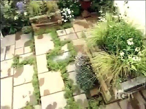 The city Gardener - Low Maintenance Courtyard Garden