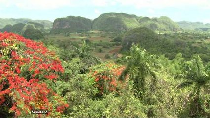 US home-sharing website cracks Cuban market