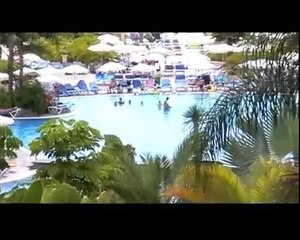 Bahia principe Animation team