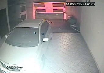 Ils n'auraient Jamais du s'en Prendre à ce Brésilien