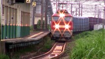 2010 信越本線 貨物列車 EF81・EF510 6788レ ワム列車