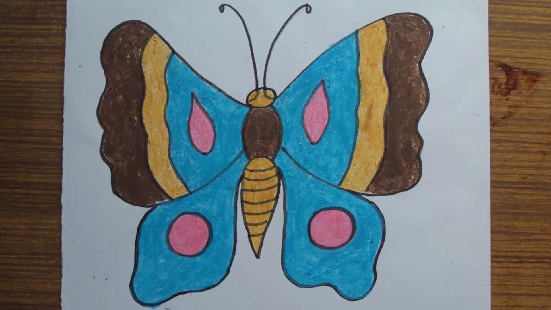 Featured image of post Simple Butterfly Drawings With Color Easy