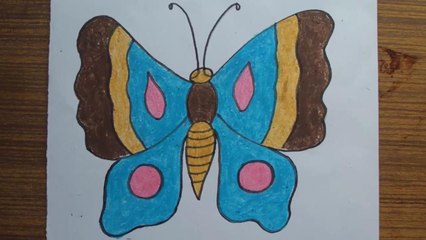 How to Draw a Butterfly with Pastel Color