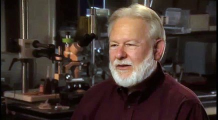 David Nichols: DMT is a unique psychedelic because it occurs naturally