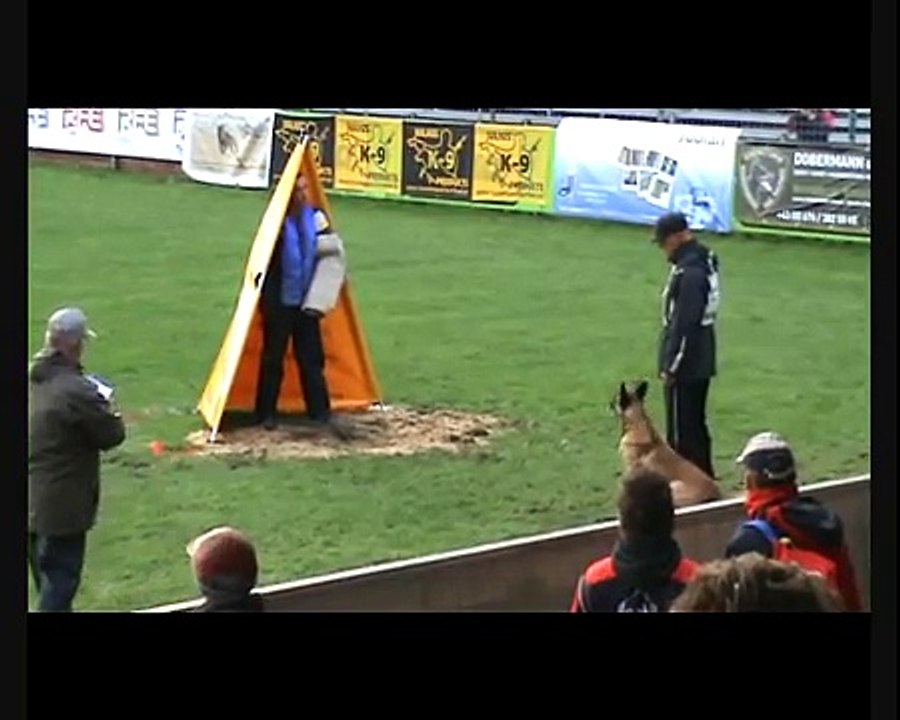 FCI WM 2009 Bendix vom Adlerauge C