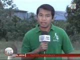 TV Patrol Cagayan Valley - September 15, 2014