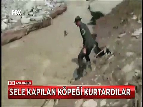 Sele kapılan köpeği kurtardıktan sonra suni teneffüs yaparak hayata döndürdüler