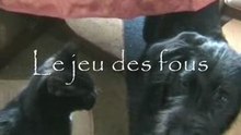 Réglisse & Fripon