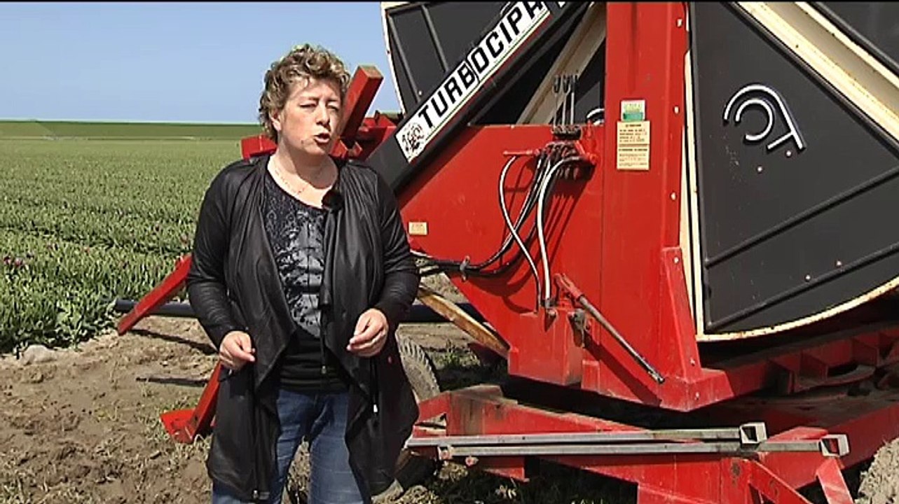 Het Weer Harma bie de boer [2152015] RTV Noord Video Dailymotion