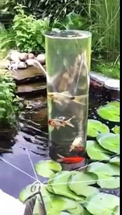 Fischturm