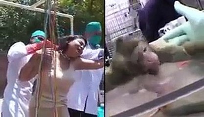 Khabarnamcha-Doctor At London Treating Patient Like Animal