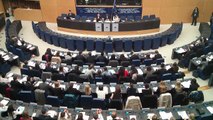 Simulation of European Parliament Session at Model European Union 2013