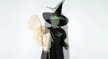 Wizard of Oz Wicked Witch of the West - Spirit Halloween