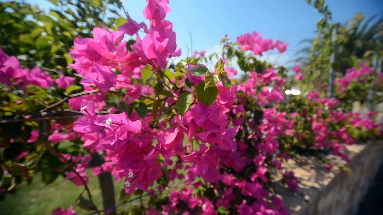 crete