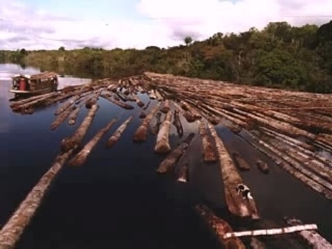 AMAZÔNIA - MARCOS MAFRA - 2007