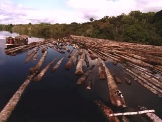 AMAZÔNIA - MARCOS MAFRA - 2007