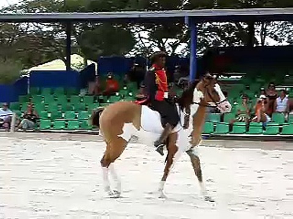 Spectacle équestre | Parc Manati