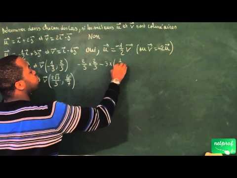 440 / Vecteurs / Déterminer si deux vecteurs sont colinéaires