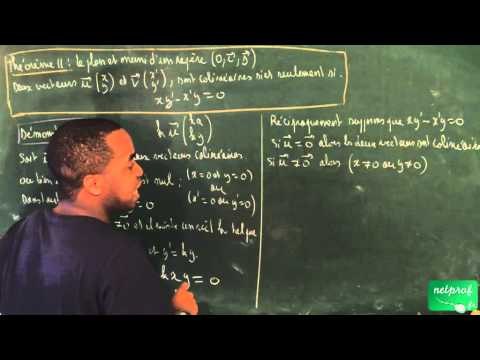 Seconde / Vecteurs / Théorème 11 (critère de colinéarité)