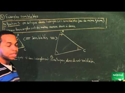 ADN / Triangles isométriques et semblables / Définition de deux triangles semblables