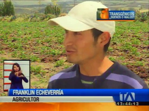 Debaten nuevamente el uso de productos transgénicos en Ecuador