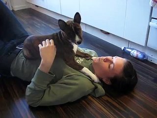 Shenzi hates whistling - very funny