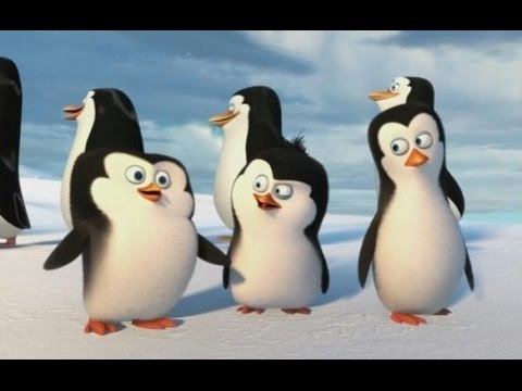 Pingwiny z Madagaskaru, Wiewiórki natoons- Jajka niespodzianki- Baw się z nami