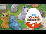 Magic Kinder - Jajka Niespodzianki - Baw się z nami