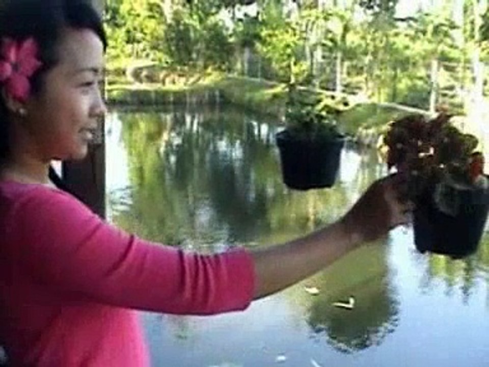 Sasak Virtual Lombok Island - Inges