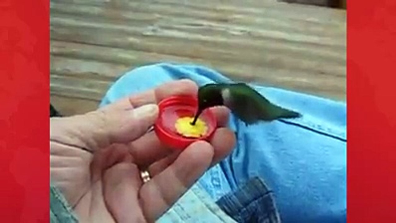 SubhanAllah