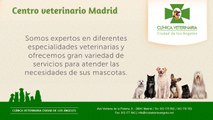 Ciudad de los Ángeles - Centro veterinario Madrid - Clínica veterinaria Alcorcón