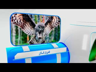 التكنولوجيا تقلد الطبيعه -تحليق البومه وصور القطار السريع