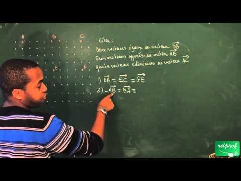 405 / Vecteurs / Reconnaître des vecteurs égaux (2)