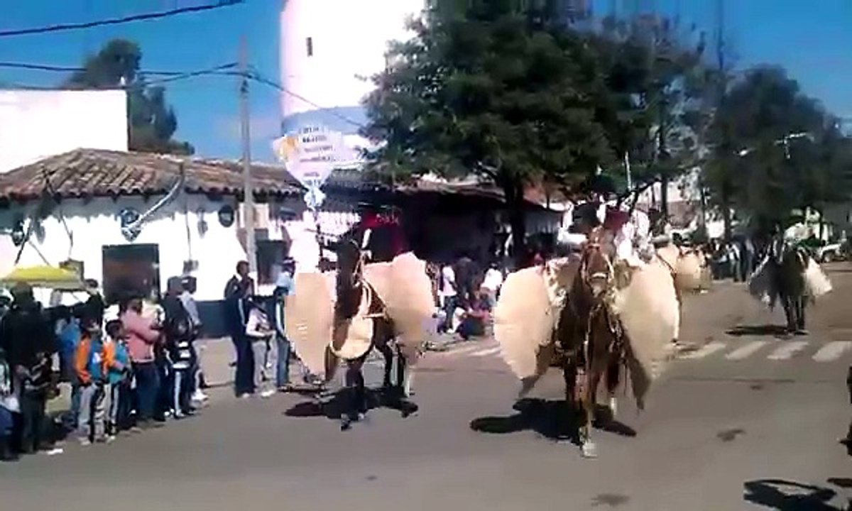 DESFILE FIESTAS PATRONALES SANTO DOMINGO DE GUZMAN