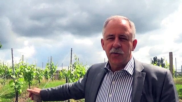 Bernard Hinault : amateur, je ne suis jamais sorti de mon trou ...