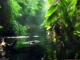 Uakti - Amazon River (Composed by Philip Glass)