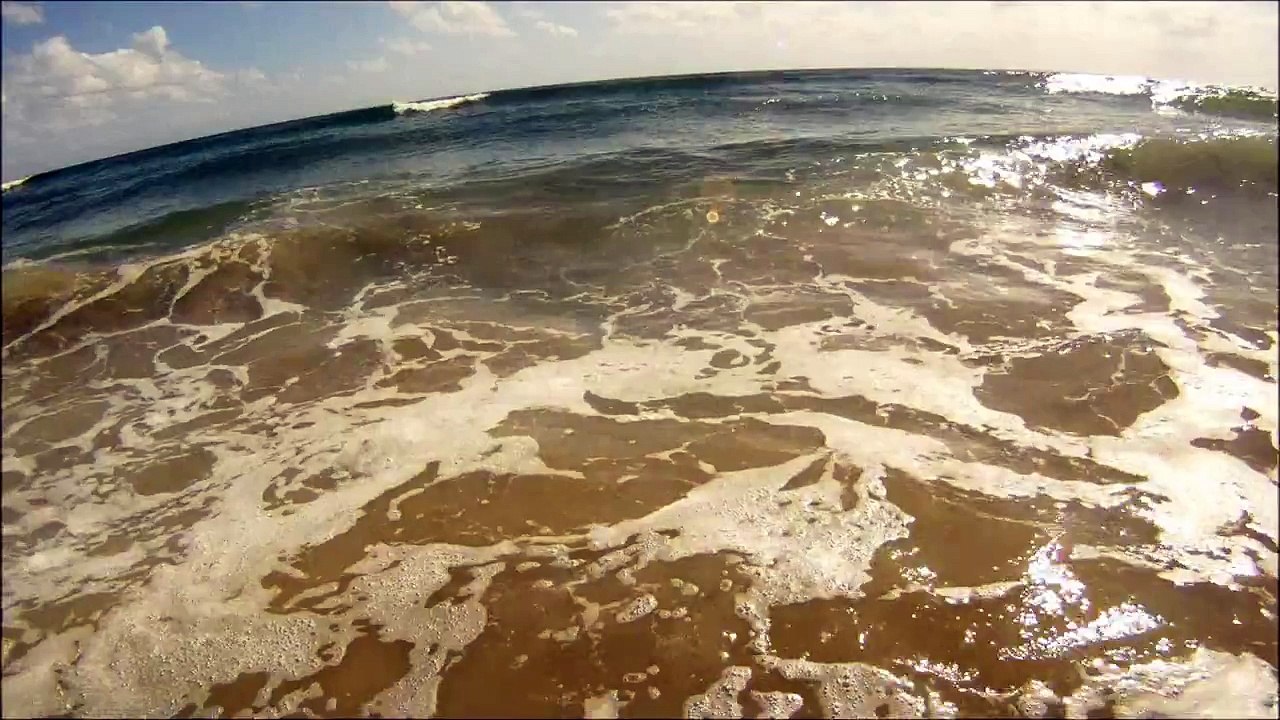 Bluefish chasing bait in the surf