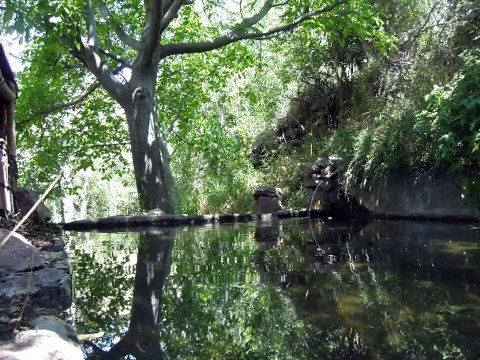Ha bu akan dereler Denizlere dolacak söylesene güzelim sonumuz ne olacak Kazım Koyuncu