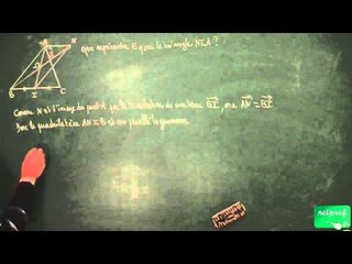 308 / Triangles isométriques et semblables / Démontrer avec des translations