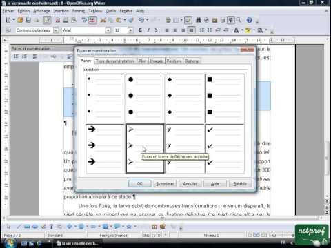 Open office ou Libre office - Texte long 3 - Puces