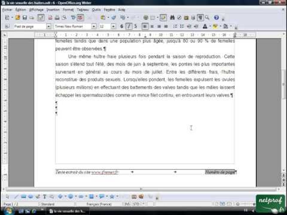 Open office ou Libre office - Texte long 9 - Numerotation des pages