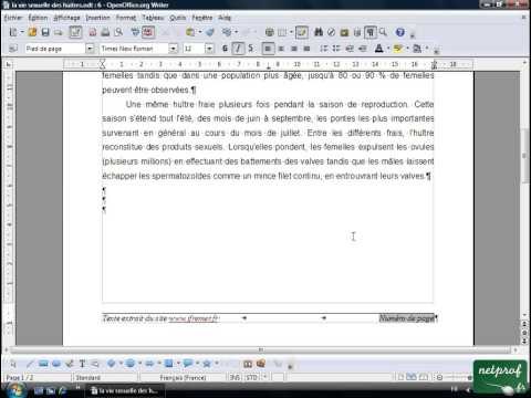 Open office ou Libre office - Texte long 9 - Numerotation des pages