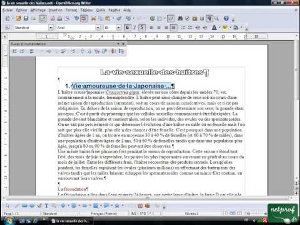 Open office ou Libre office - Texte long 2 - Numérotation